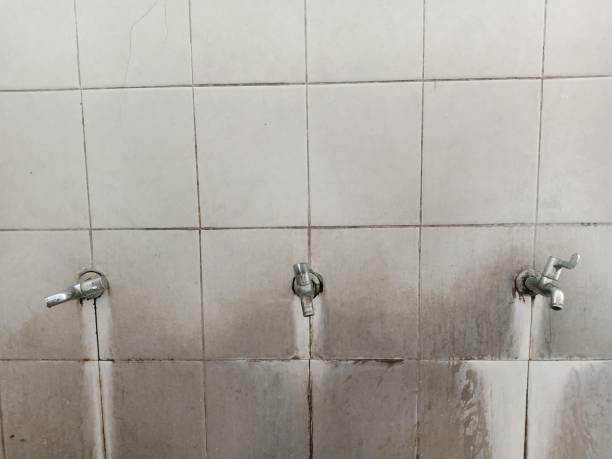 Best Flood restoration services  in Lincoln, MO