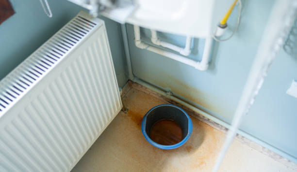 Best Fire Damage Restoration  in Lincoln, MO